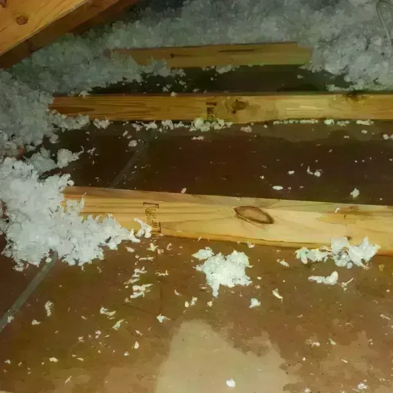 Attic Water Damage in Orange Lake, NY